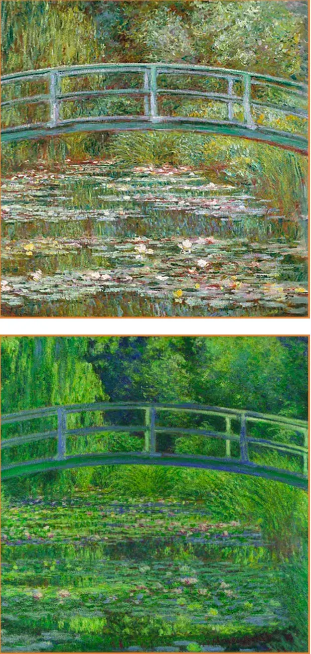 Arte e Visão: Como a Catarata Transformou as Pinturas de Monet
